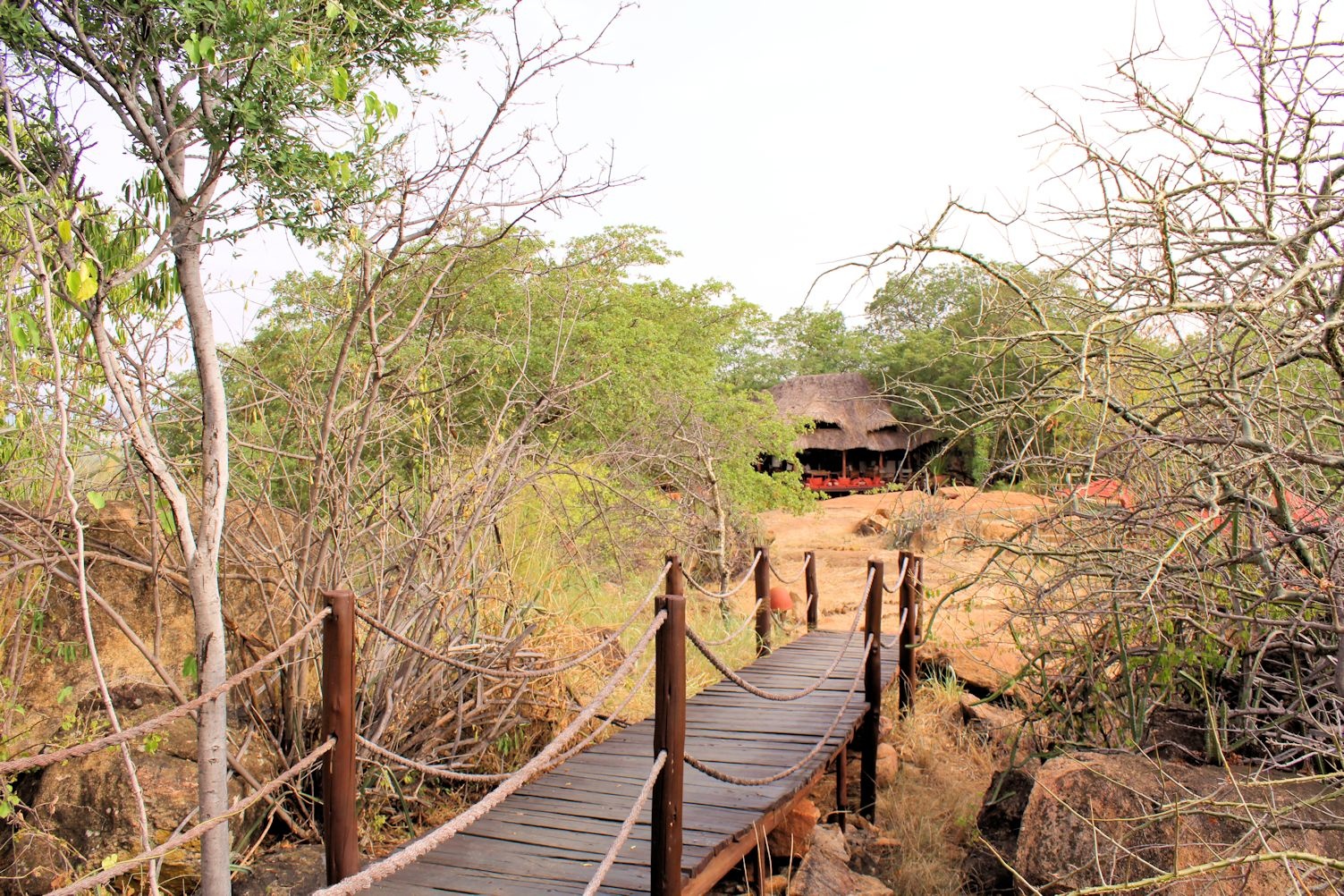 Elsa Kopje, Meru National Park — image 9 of 30